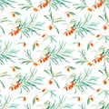 Floral seamless pattern with sea buckthorn and branches