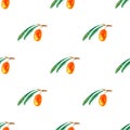 Floral seamless pattern with sea buckthorn.
