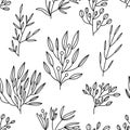 Seamless pattern of thin line black floral elements, flowers, bushes. Royalty Free Stock Photo