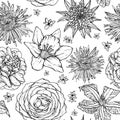 Floral seamless pattern with skecth of aster, rose, clematis, narcissus, scarlet, peony