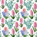 Floral seamless pattern of spring flowers on an isolated background, watercolor hyacinths, eucalyptus. Royalty Free Stock Photo