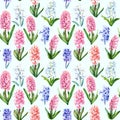 Floral seamless pattern of spring flowers on an isolated background, watercolor hyacinths. Royalty Free Stock Photo