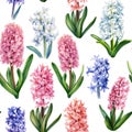Floral seamless pattern of spring flowers on an isolated background, watercolor hyacinths. Royalty Free Stock Photo