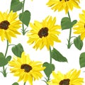 Floral seamless pattern of tall yellow sunflowers on stems with large leaves on white background