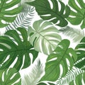 Floral seamless pattern. Tropical leaves background. Palm tree l Royalty Free Stock Photo