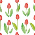 Floral seamless pattern Tulips (red flowers with green leafs). Royalty Free Stock Photo