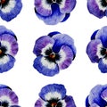 Floral seamless pattern. Violet pansies. Blank for fabric packaging. Watercolor