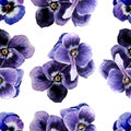 Floral seamless pattern. Violet pansies. Blank for fabric packaging. Watercolor