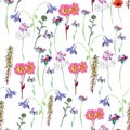 Floral seamless pattern, watercolor beautiful summer flowers bouquet poppies and cornflowers with butterflies. Royalty Free Stock Photo