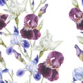 Floral seamless pattern with watercolor irises