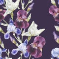 Floral seamless pattern with watercolor irises. Royalty Free Stock Photo