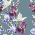 Floral seamless pattern with watercolor irises Royalty Free Stock Photo