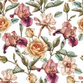 Floral seamless pattern with watercolor irises, roses and narcissus Royalty Free Stock Photo