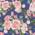 Floral seamless pattern with watercolor pink roses on the blue background Royalty Free Stock Photo