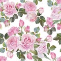 Floral Seamless Pattern With Watercolor Roses.