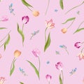 Floral Seamless Pattern with Watercolor Tulips. Spring Background with Blossom Flowers for Fabric, Wallpaper, Posters, Banners Royalty Free Stock Photo