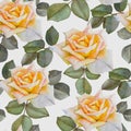 Floral seamless pattern with watercolor yellow roses. Royalty Free Stock Photo