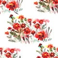 Floral seamless pattern on white background with Marigold Flowers. Watercolor. Royalty Free Stock Photo