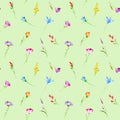 Floral seamless pattern of a wild flowers and herbs.