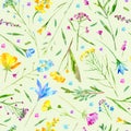 Floral seamless pattern of a wild flowers and herbs on a green background.