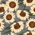 Floral seamless pattern. Yellow blooming sunflowers on a gray background. Royalty Free Stock Photo