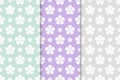 Floral seamless patterns. Colored background Royalty Free Stock Photo