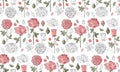 Floral seamless vector background. Pink roses on white background. Vintage style. Hand-drawn Botanical illustration. Good design Royalty Free Stock Photo