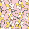 Floral seamless vector pattern with daffodil. Yellow flowers on a pink background. Hand drawn botanical design Royalty Free Stock Photo