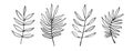 Floral Set of black hand drawn leaves and branches isolated on white. Collection of flourish elements for design. Vector Royalty Free Stock Photo