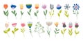 Floral set of decorative elements for design and decor. Springtime vector hand drawn flowers in retro vintage colors