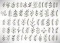 Floral set of black outline hand drawn elements, tree branch, bush, plant, tropical leaves, branches, petals isolated