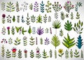 Floral set of colorful hand drawn elements, tree branch, bush, plant, tropical leaves, flowers, branches, petals Royalty Free Stock Photo