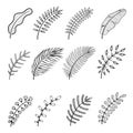 Floral set of hand drawn botanic elements Royalty Free Stock Photo