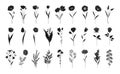 Floral set, hand drawn flowers silhouettes, vector Royalty Free Stock Photo