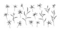 Floral set of hand drawn wild plants. Outline herbs with leaves and flowers ink drawing. Black isolated sketch vector on white Royalty Free Stock Photo