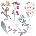 A floral set with the isolated watercolor branches, flowers and berries Royalty Free Stock Photo