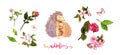 Floral set for Mother`s day: cherry blossom, rose flowers, leaves, mom hedgehog animal embracing her kid, butterflies