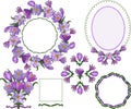 frames with crocus, floral isolated elements for design, bouquet of crocuses in vector on a white