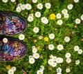 Floral shoes on a floral meadow