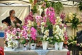 Floral shop compositions on display at open air market Royalty Free Stock Photo