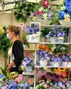 Floral shop compositions on display at open air market Royalty Free Stock Photo