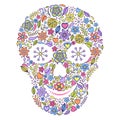 Floral skull isolated on white background.