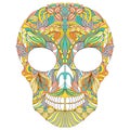 Floral skull on white background.