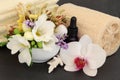 Floral Spa Treatment Royalty Free Stock Photo