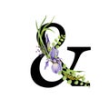 Floral spring alphabet. Ampersand sign. Font element AND with spring garden flower bouquets composition. Flower letter