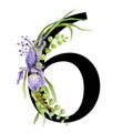 Floral spring alphabet. Number 6. Font element with spring garden flower bouquets composition. Flower number six Royalty Free Stock Photo