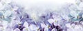 Floral spring background. Lilac bouquet purple flower petals. Close-up. Nature. Royalty Free Stock Photo