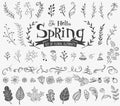 Floral spring design elements in doodle style