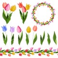 Floral spring elements, floral set. Bunches of tulips. Seamless Royalty Free Stock Photo