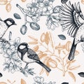 Floral spring garden seamless pattern. Birds on almond branches vintage background design. Great tit with blooming twigs, nuts, Royalty Free Stock Photo